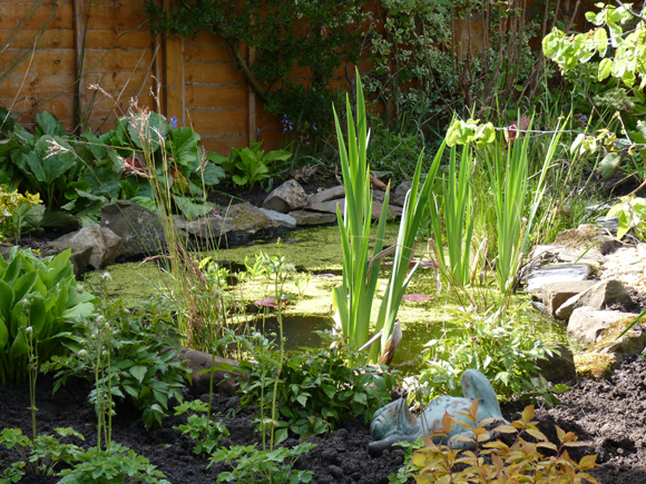 Water is a great way to attract wildlife into your garden
