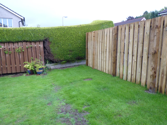 Before: the garden was boggy and lacked interest