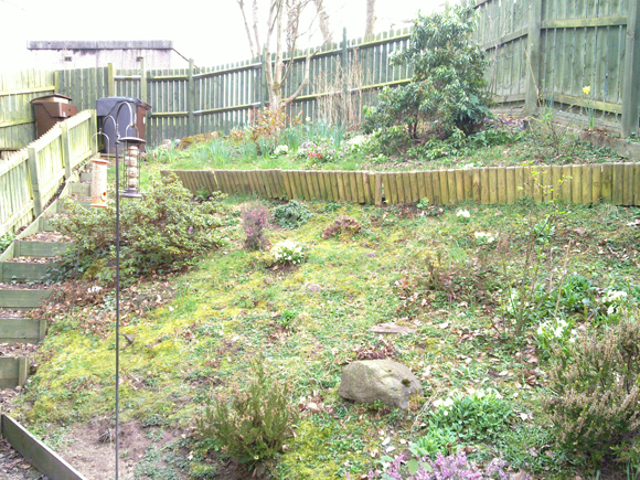 Before: the garden was inaccessible and overgrown