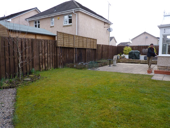 Before: a waterlogged garden with no focal points