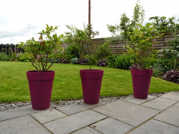 New pink pots add a splash of colour to the patio