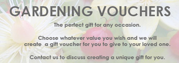 A Vialii gift voucher, the perfect gift this Christmas