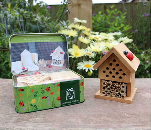 Make your insect house