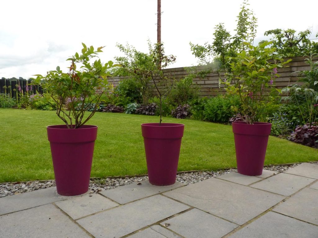 Pink plastic pots are a cheap but effective way to add colour to a garden
