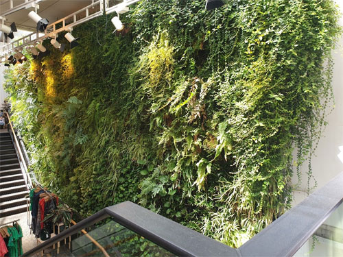 The green wall in Anthrapologie