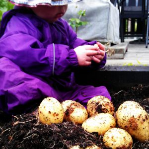 Raised beds are the perfect height for kids to help out