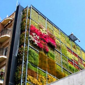 Green walls don't have to be just green!