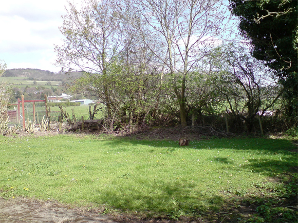 Before: our garden had no interest and the beautiful view was blocked by overgrown shrubs