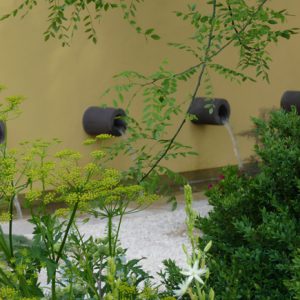 Water spouts in Cleve West's garden