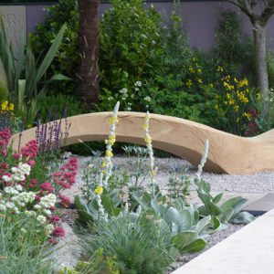 The driftwood bench in the Cancer Research garden