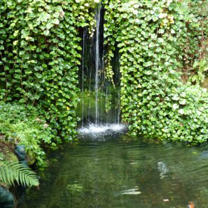 The water garden was wonderful to see