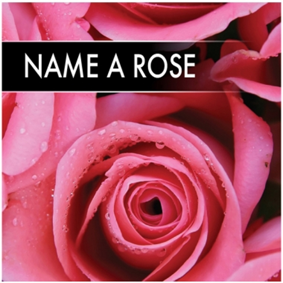 Name a rose