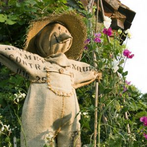 Make your own scarecrow