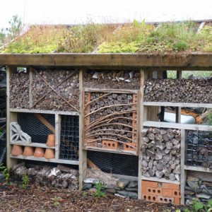 A bug hotel on Seil Island with a green roof