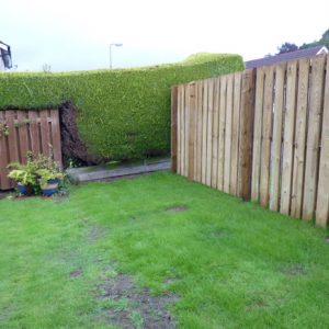 Before: the garden was boggy and lacked interest