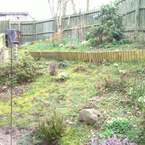 Before: the garden was inaccessible and overgrown