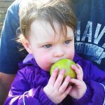 Lulu eating an apple