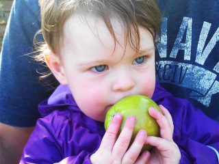 Lulu eating an apple