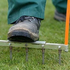 Aerating your lawn will help keep bogginess at bay