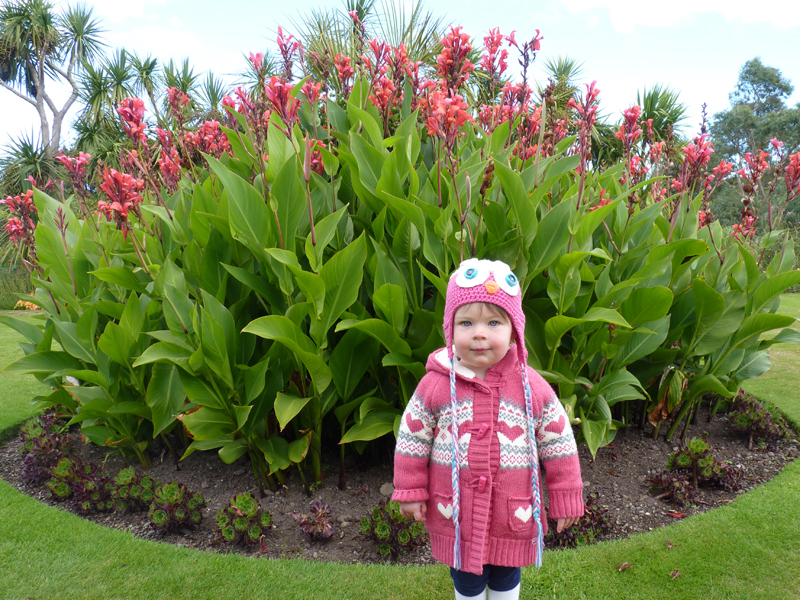 More exotics - this time lots of Cannas in full flower. The mild temperatures at Logan make exotic planting possible.