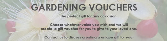 The perfect gift for the person who has everything. Gardening vouchers from any value
