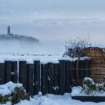 Feature fences and sculpture can provide important focal points in winter