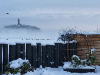 Feature fences and sculpture can provide important focal points in winter
