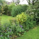 Hedging can be anywhere in your garden, not just the boundary