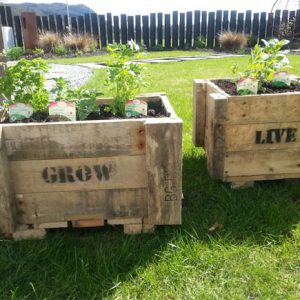 Bespoke garden planters made from upcycled pallets
