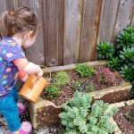 Keep active and learn new things in the garden