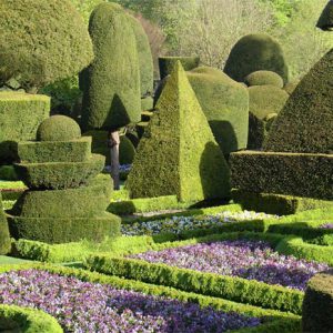 The Topiary Garden at Levens Halls