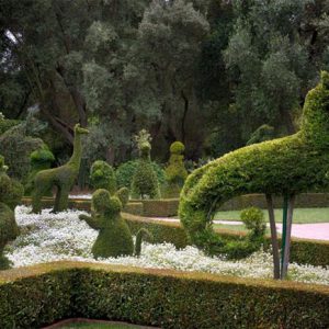 The Lotusland Topiary Garden