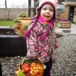 Gather your sets, seed potatoes and seeds in a funky bucket like this one from Twigz (2)