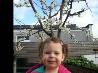Look, I have plum tree blossom coming out of the top of my head!