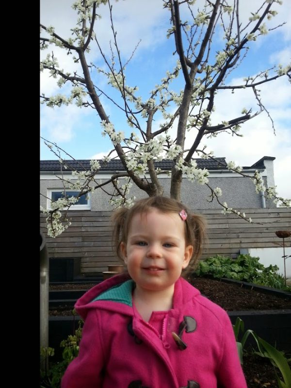 Look, I have plum tree blossom coming out of the top of my head!