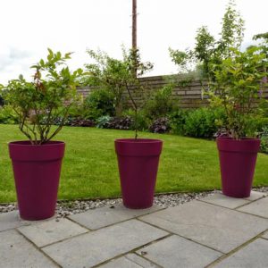 New pink pots add a splash of colour to the patio