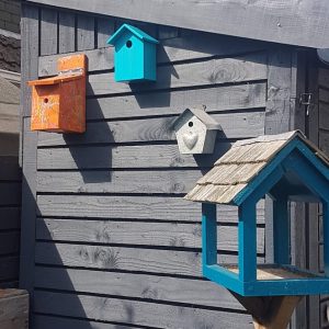 We have several bird boxes to choose from