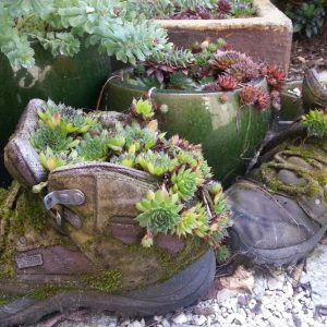 You can even plant in old boots