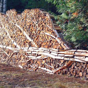Stunning tree log pile art