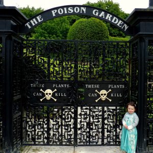 Yikes, the Poison Garden! Be careful, the Wicked Queen will be around here somewhere!