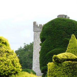 Topiary at Levens Hall