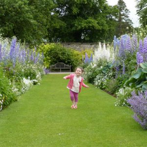 Herbaceous border at Levens Hall