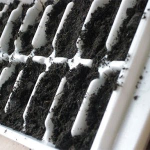 Fill your seed trays