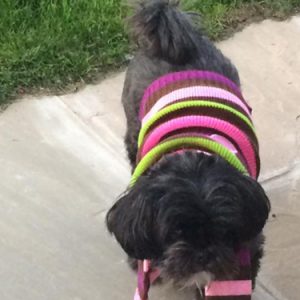 Dorey in her stripey jumper