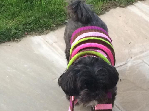 Dorey in her stripey jumper