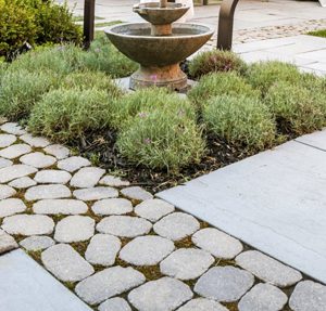 Cobbles and planting in paving