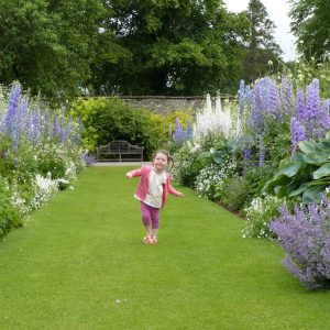 The gardens at Levens Hall in the Lake District are well worth a visit