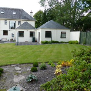 Before: just lawn, concrete paving and uninspiring borders