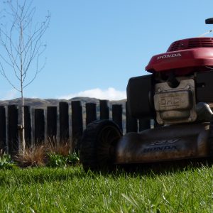 Grass cutting by Vialii