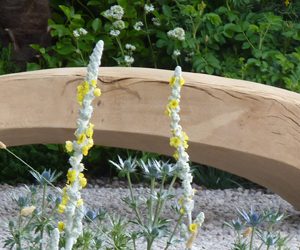 Sculpted garden bench